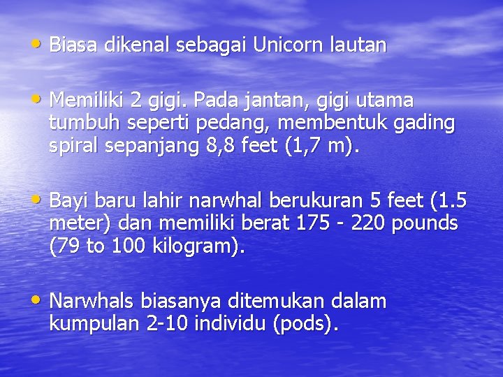  • Biasa dikenal sebagai Unicorn lautan • Memiliki 2 gigi. Pada jantan, gigi