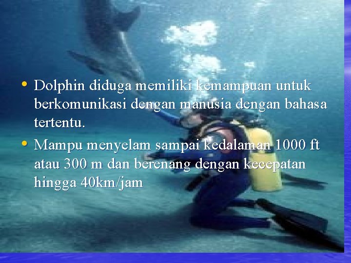  • Dolphin diduga memiliki kemampuan untuk • berkomunikasi dengan manusia dengan bahasa tertentu.