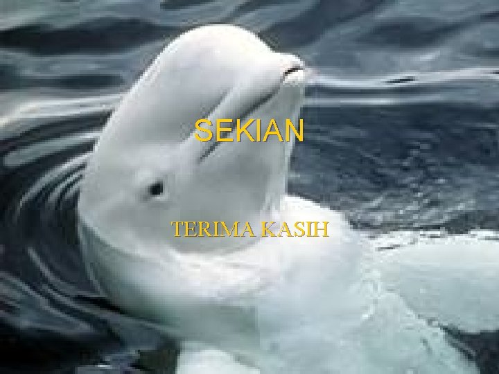 SEKIAN TERIMA KASIH 