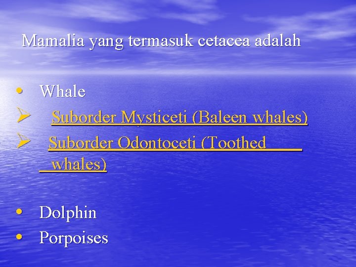 Mamalia yang termasuk cetacea adalah • Whale Ø Suborder Mysticeti (Baleen whales) Ø Suborder