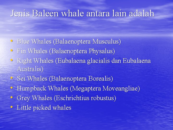 Jenis Baleen whale antara lain adalah • Blue Whales (Balaenoptera Musculus) • Fin Whales
