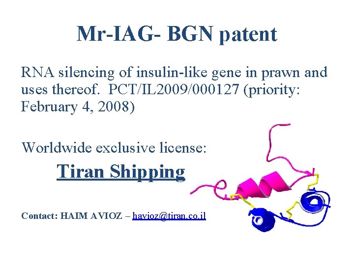 Mr-IAG- BGN patent RNA silencing of insulin-like gene in prawn and uses thereof. PCT/IL Mr-IAG- BGN patent RNA silencing of insulin-like gene in prawn and uses thereof. PCT/IL