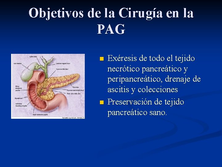 Objetivos de la Cirugía en la PAG n n Exéresis de todo el tejido