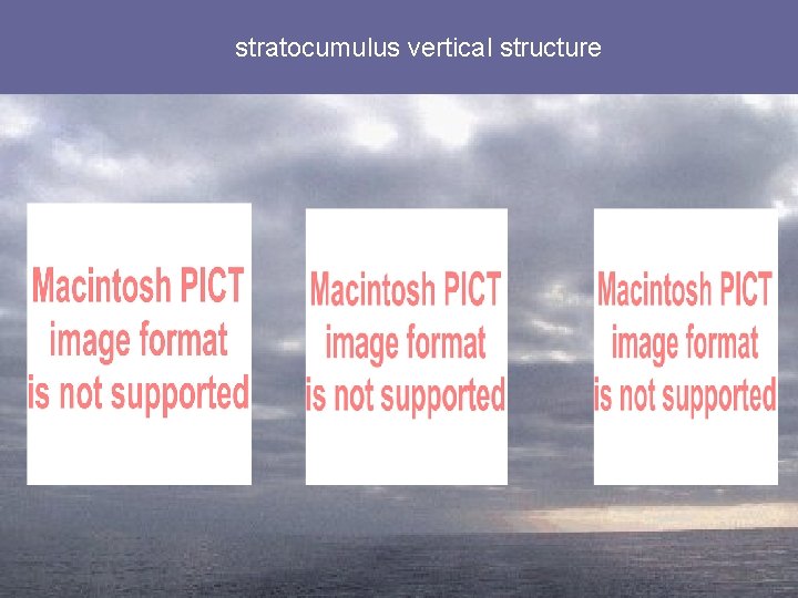 stratocumulus vertical structure 