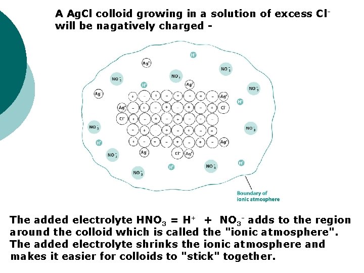 A Ag. Cl colloid growing in a solution of excess Clwill be nagatively charged