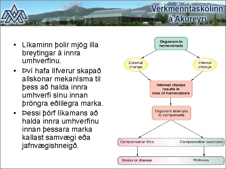 • Líkaminn þolir mjög illa breytingar á innra umhverfinu. • Því hafa lífverur • Líkaminn þolir mjög illa breytingar á innra umhverfinu. • Því hafa lífverur