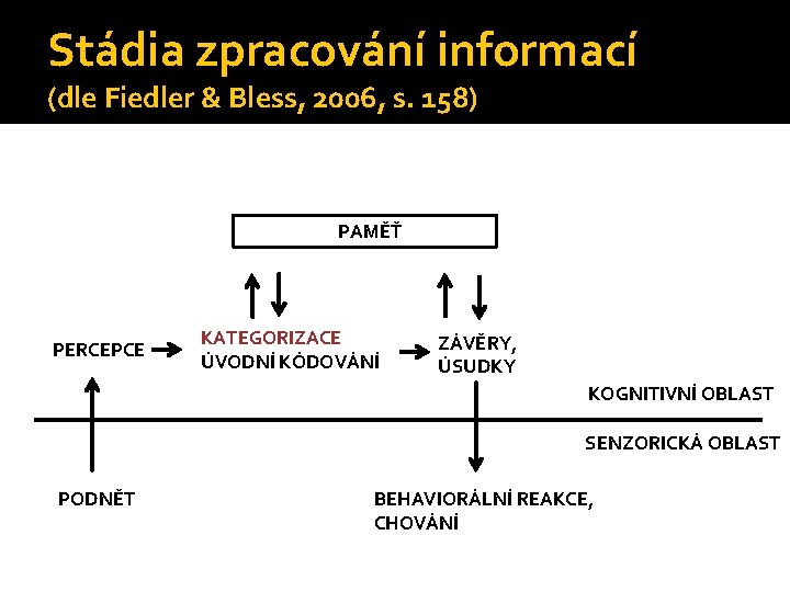 Stádia zpracování informací (dle Fiedler & Bless, 2006, s. 158) PAMĚŤ PERCEPCE KATEGORIZACE ÚVODNÍ Stádia zpracování informací (dle Fiedler & Bless, 2006, s. 158) PAMĚŤ PERCEPCE KATEGORIZACE ÚVODNÍ