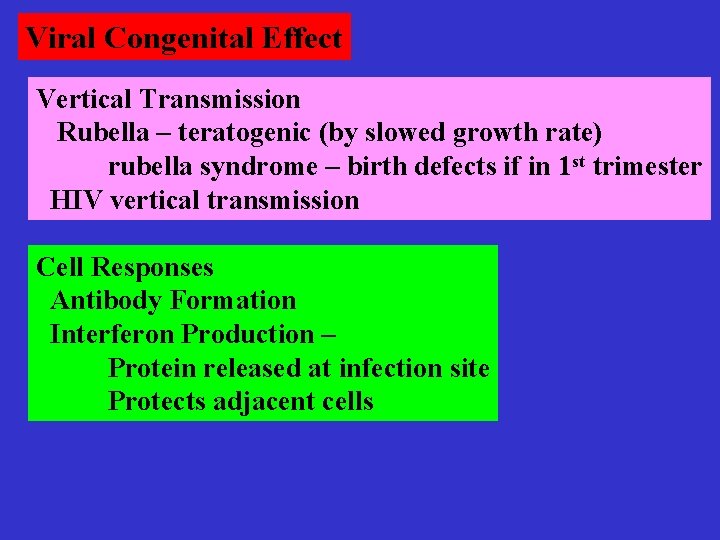 Viral Congenital Effect Vertical Transmission Rubella – teratogenic (by slowed growth rate) rubella syndrome