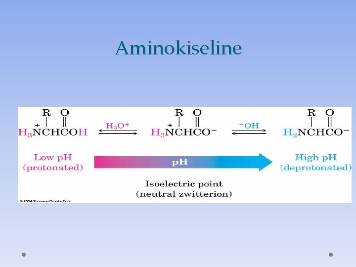Aminokiseline 