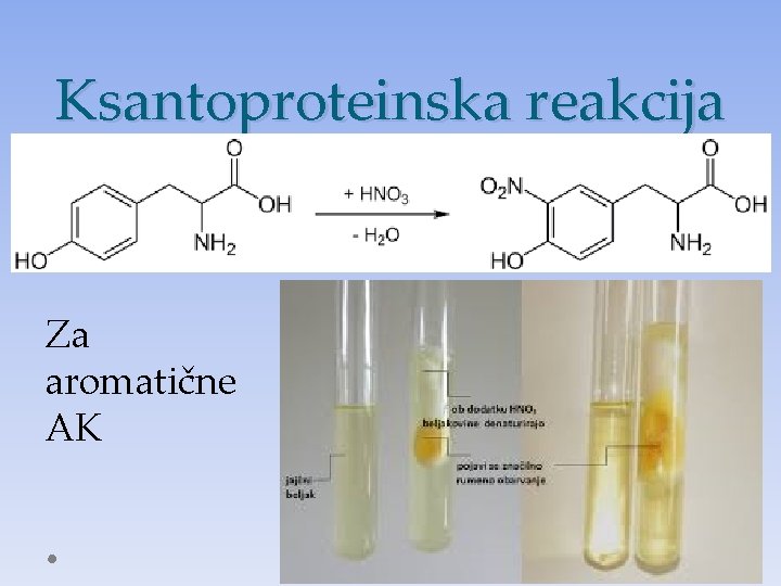 Ksantoproteinska reakcija Za aromatične AK 