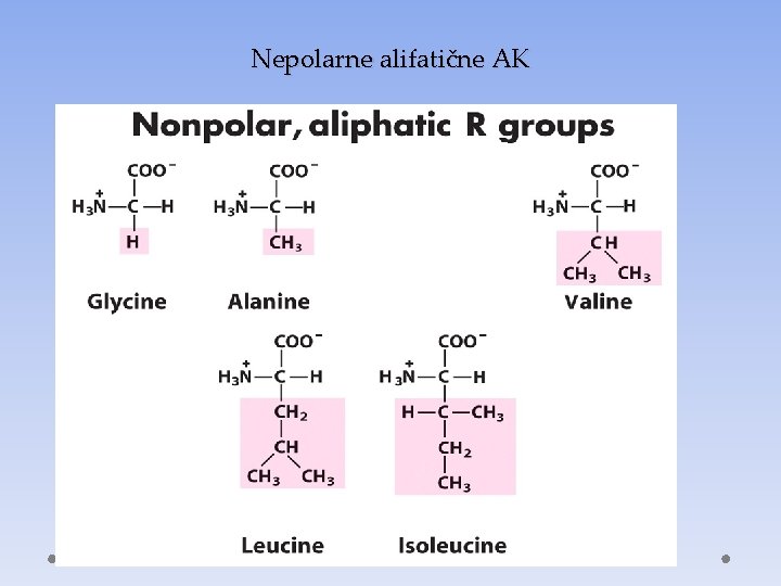 Nepolarne alifatične AK 