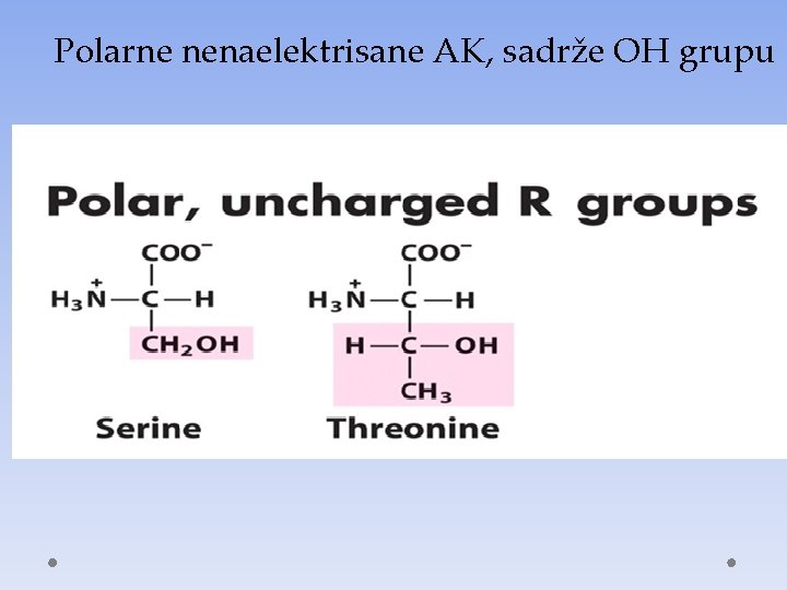 Polarne nenaelektrisane AK, sadrže OH grupu 