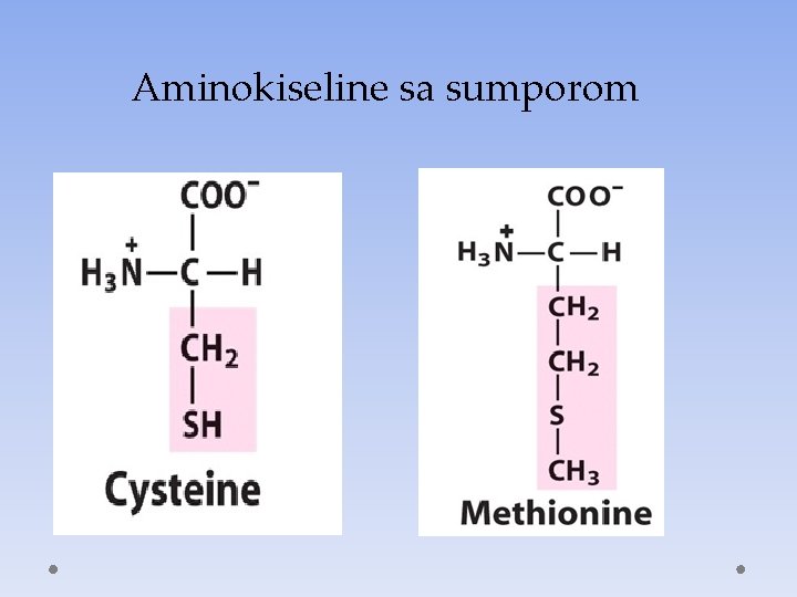 Aminokiseline sa sumporom 