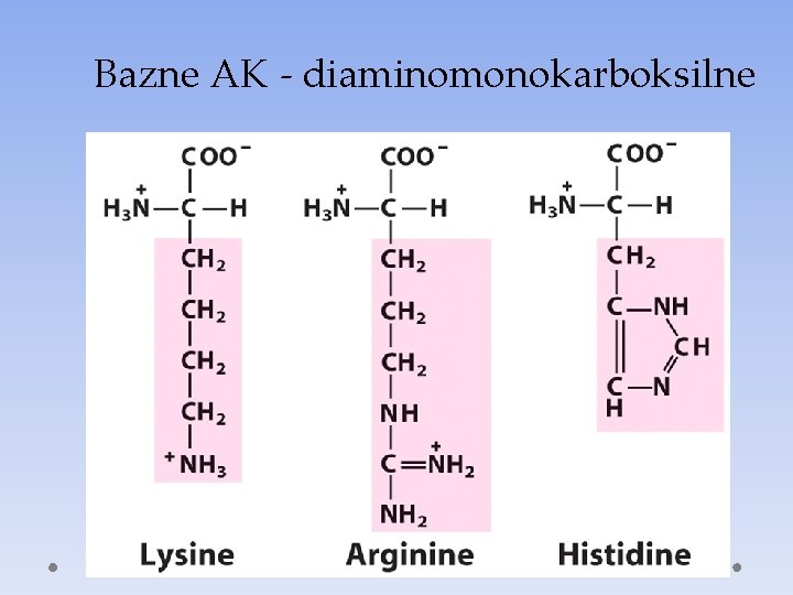 Bazne AK - diaminomonokarboksilne 