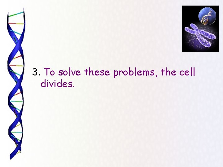 3. To solve these problems, the cell divides. 