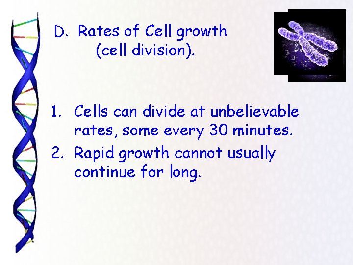 D. Rates of Cell growth (cell division). 1. Cells can divide at unbelievable rates,