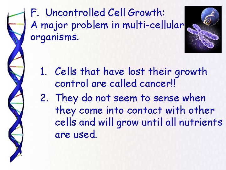 F. Uncontrolled Cell Growth: A major problem in multi-cellular organisms. 1. Cells that have