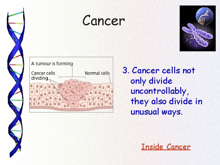 Cancer 3. Cancer cells not only divide uncontrollably, they also divide in unusual ways.