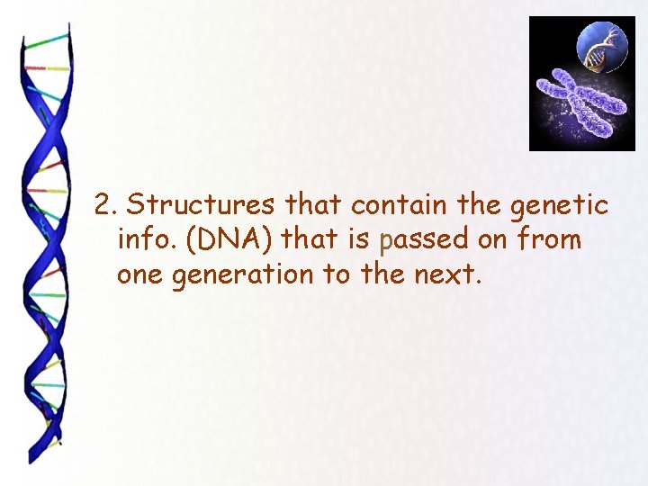 2. Structures that contain the genetic info. (DNA) that is passed on from one