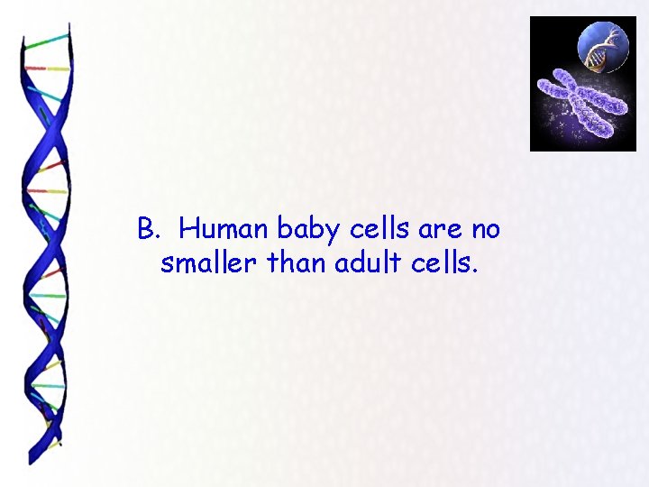 B. Human baby cells are no smaller than adult cells. 