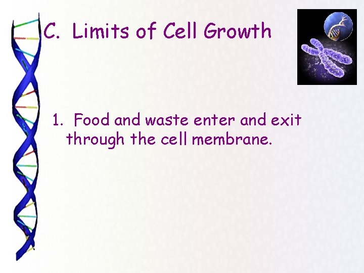 C. Limits of Cell Growth 1. Food and waste enter and exit through the