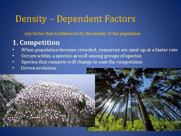 Density – Dependent Factors Any factor that is influenced by the density of the