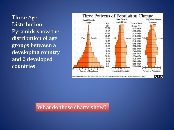 These Age Distribution Pyramids show the distribution of age groups between a developing country