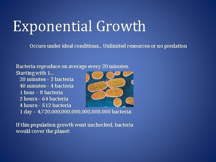 Exponential Growth Occurs under ideal conditions. . . Unlimited resources or no predation Bacteria