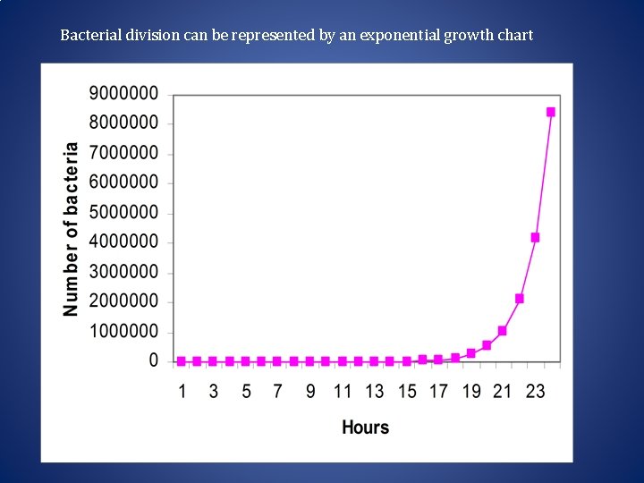 Bacterial division can be represented by an exponential growth chart Exponential Growth Chart 