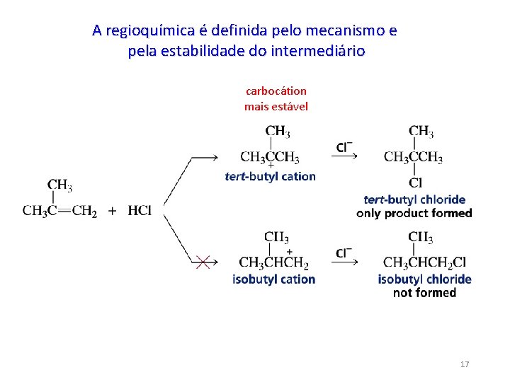A regioquímica é definida pelo mecanismo e pela estabilidade do intermediário carbocátion mais estável