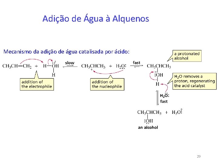 Adição de Água à Alquenos Mecanismo da adição de água catalisada por ácido: 29