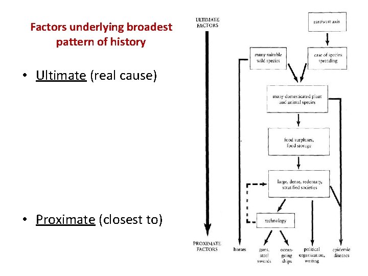 Factors underlying broadest pattern of history • Ultimate (real cause) • Proximate (closest to) Factors underlying broadest pattern of history • Ultimate (real cause) • Proximate (closest to)