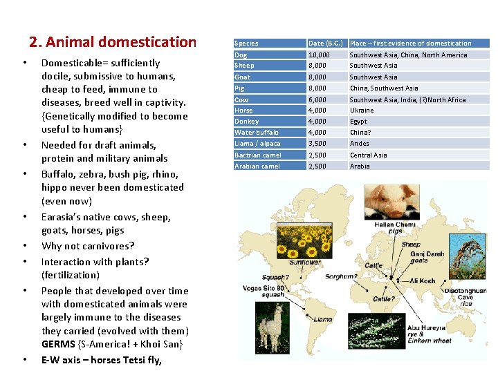 2. Animal domestication • • Domesticable= sufficiently docile, submissive to humans, cheap to feed,