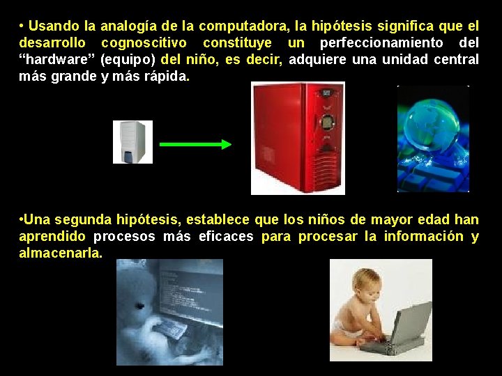  • Usando la analogía de la computadora, la hipótesis significa que el desarrollo