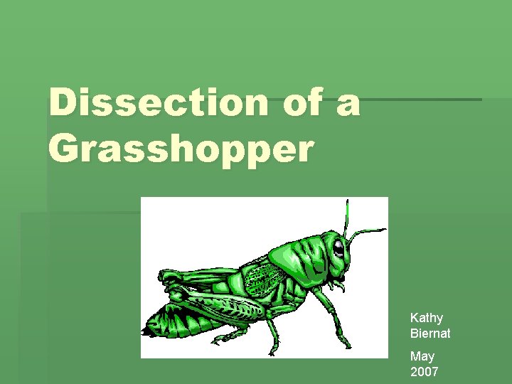 Dissection of a Grasshopper Kathy Biernat May 2007 