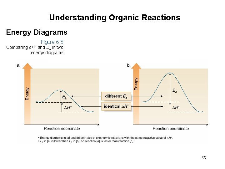 Understanding Organic Reactions Energy Diagrams Figure 6. 5 Comparing ∆H° and Ea in two