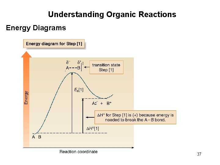 Understanding Organic Reactions Energy Diagrams 37 