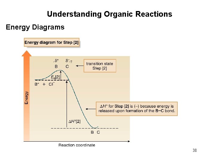 Understanding Organic Reactions Energy Diagrams 38 
