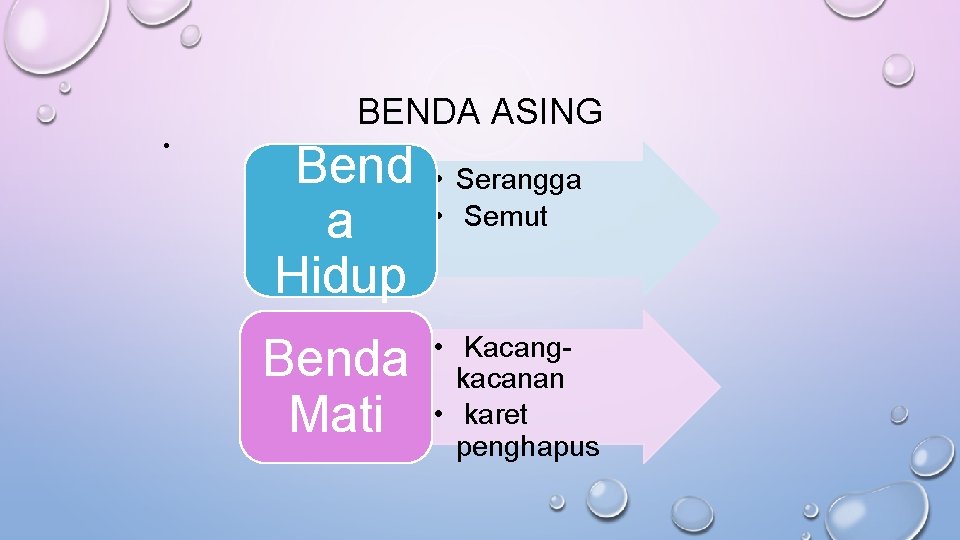 BENDA ASING • Bend a Hidup Benda Mati • Serangga • Semut • Kacangkacanan