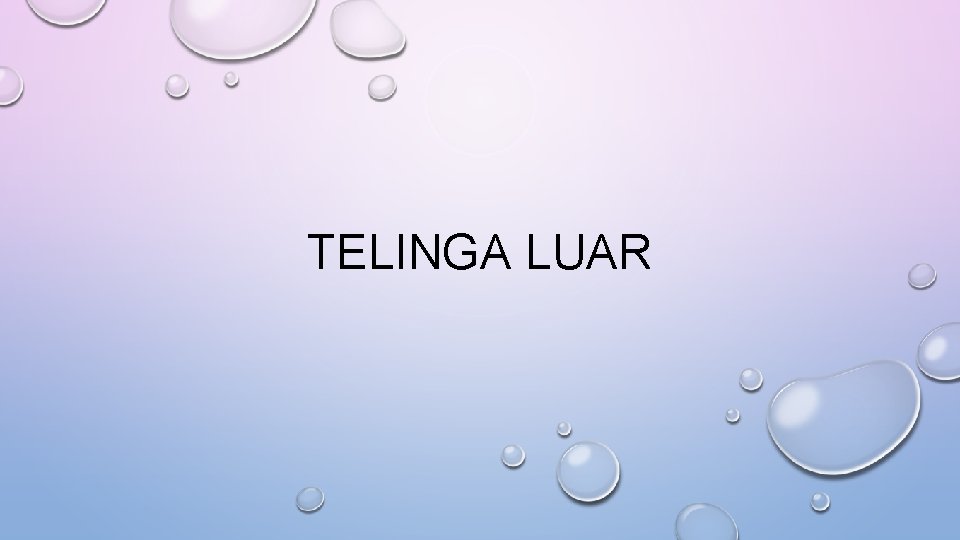 TELINGA LUAR 