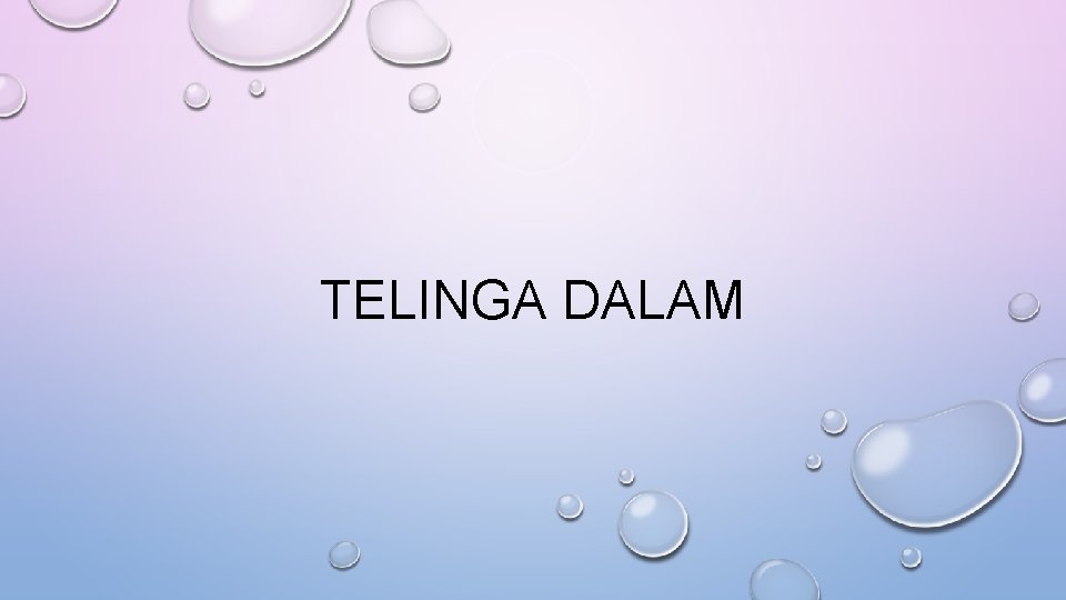 TELINGA DALAM 