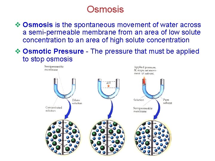 Osmosis v Osmosis is the spontaneous movement of water across a semi-permeable membrane from