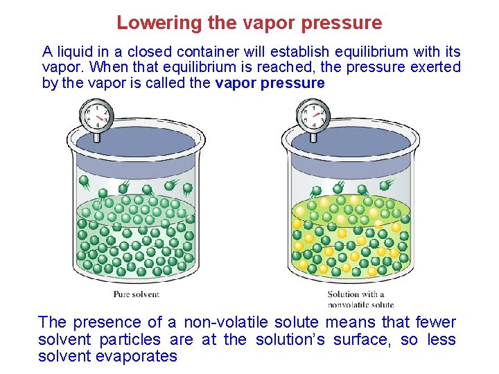 Lowering the vapor pressure A liquid in a closed container will establish equilibrium with