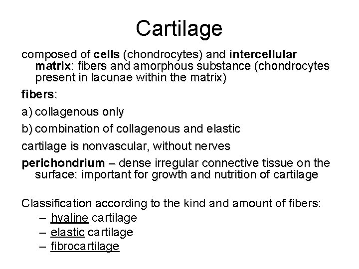 Cartilage composed of cells (chondrocytes) and intercellular matrix: fibers and amorphous substance (chondrocytes present