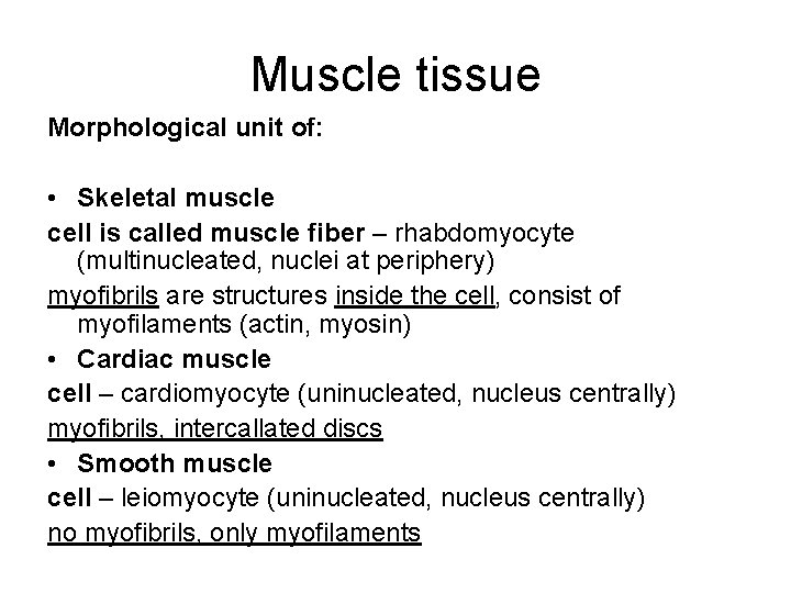 Muscle tissue Morphological unit of: • Skeletal muscle cell is called muscle fiber –