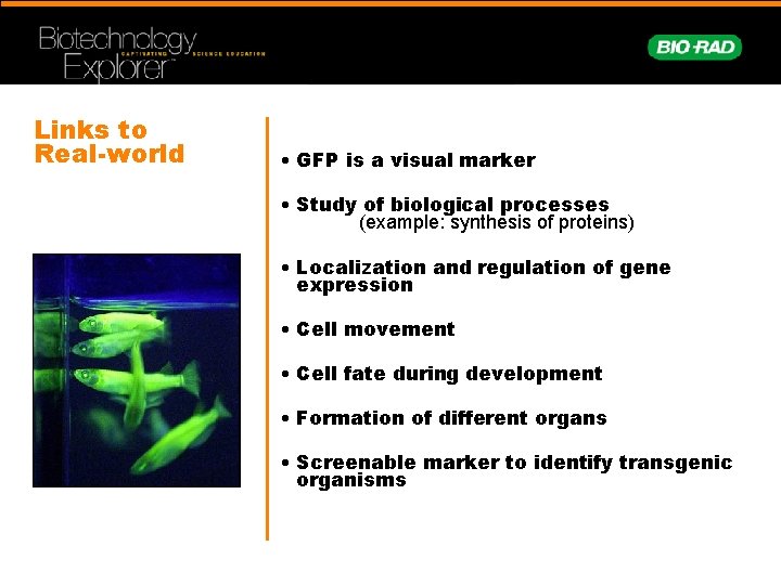Links to Real-world • GFP is a visual marker • Study of biological processes