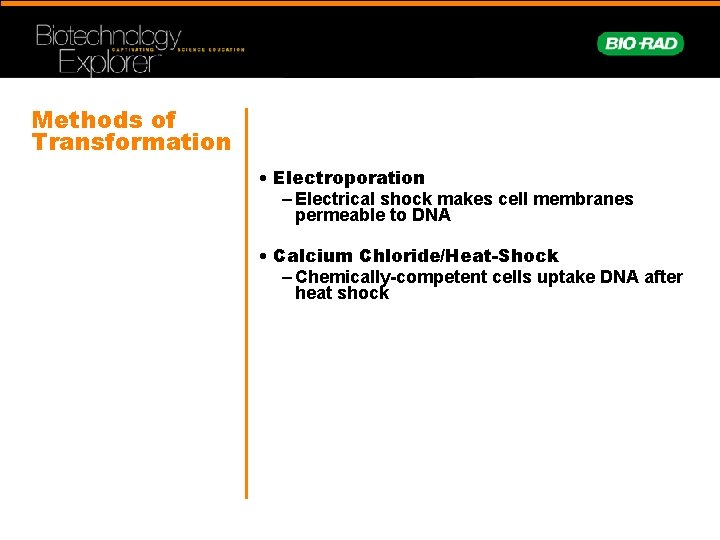 Methods of Transformation • Electroporation – Electrical shock makes cell membranes permeable to DNA