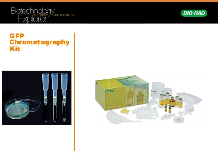 GFP Chromatography Kit 