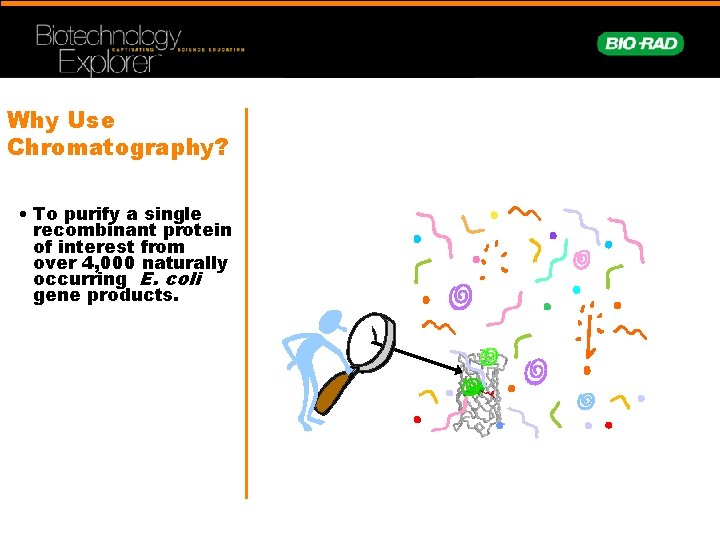 Why Use Chromatography? • To purify a single recombinant protein of interest from over