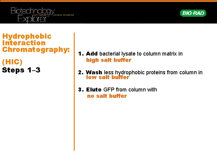 Hydrophobic Interaction Chromatography: (HIC) Steps 1– 3 1. Add bacterial lysate to column matrix